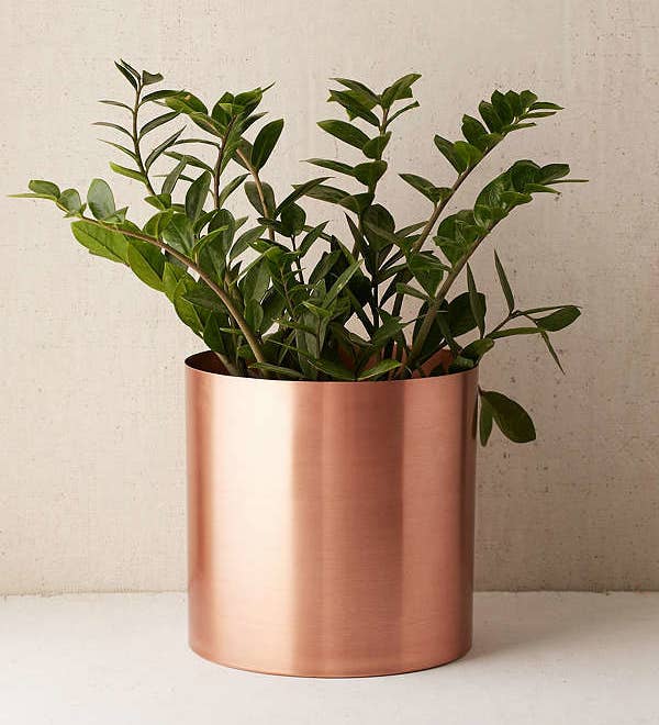 It's thyme to get your plants a new home.Price: $39.