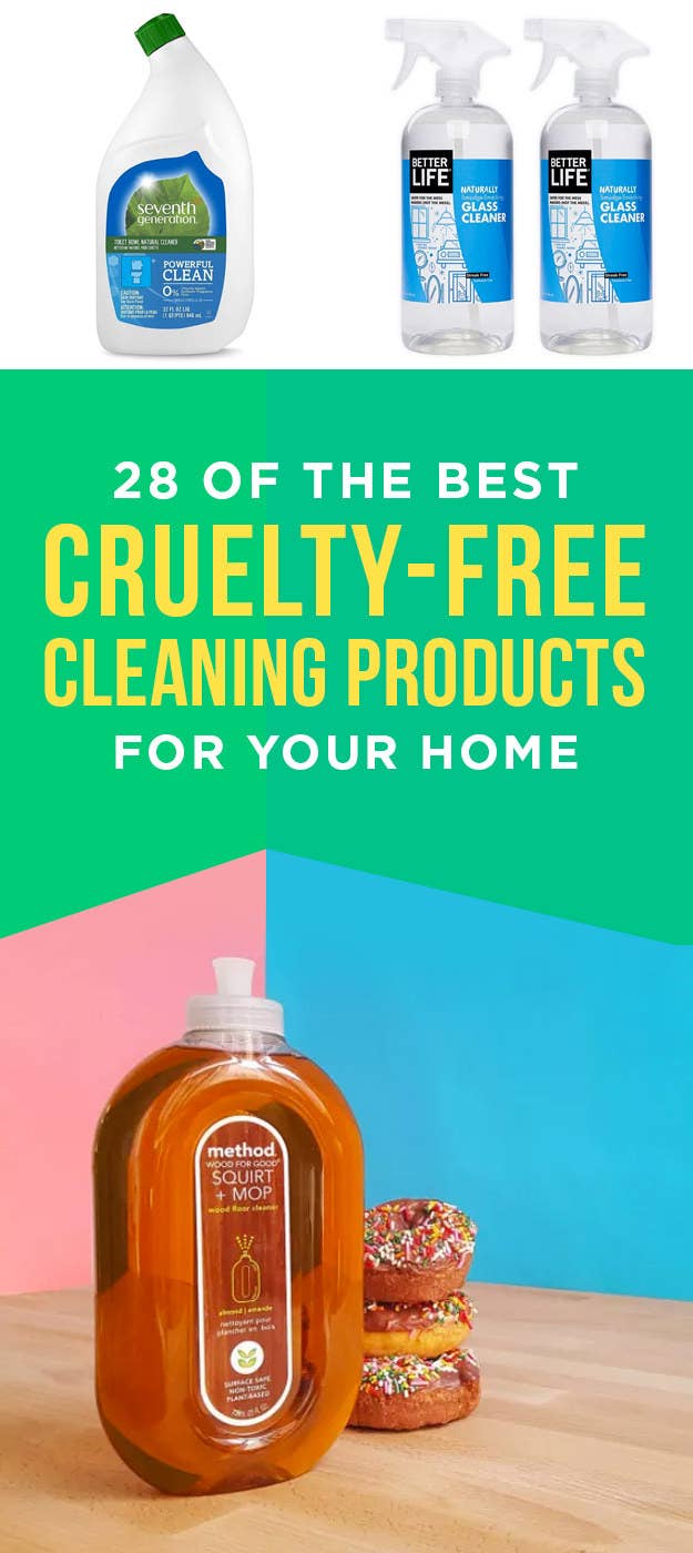Best Cruelty-Free Gifts Under $10 - Logical Harmony