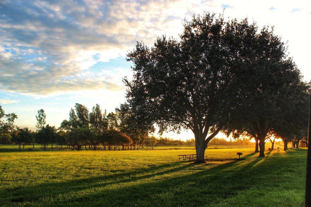 14 Ugly-Ass Parks That Look Fucking Disgusting Without A Confederate Statue