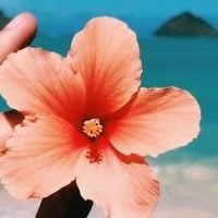 BuzzFeed profile picture for @hibiscus