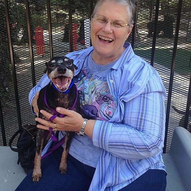 This is Melani Andrews and her new dog, Jake. Andrews adopted the 12-year-old Jake on Aug. 10, and clearly, they're a match made in heaven.