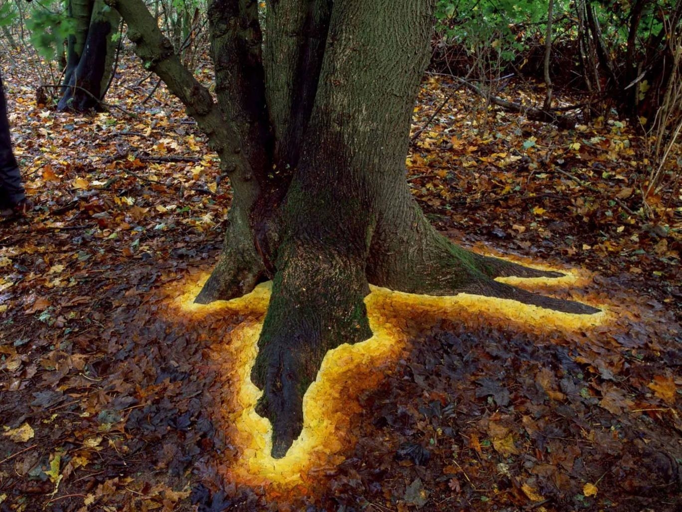 Andy Goldsworthy is a master of creating meditative artwork in a natural landscape. He uses all sorts of naturally sourced materials, like leaves, ice, branches and stones to create wildly imaginative and stunning artwork.