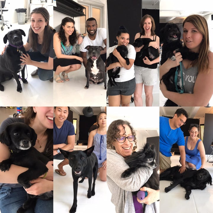 As an added bonus, here are the happy fur babies with their humans!