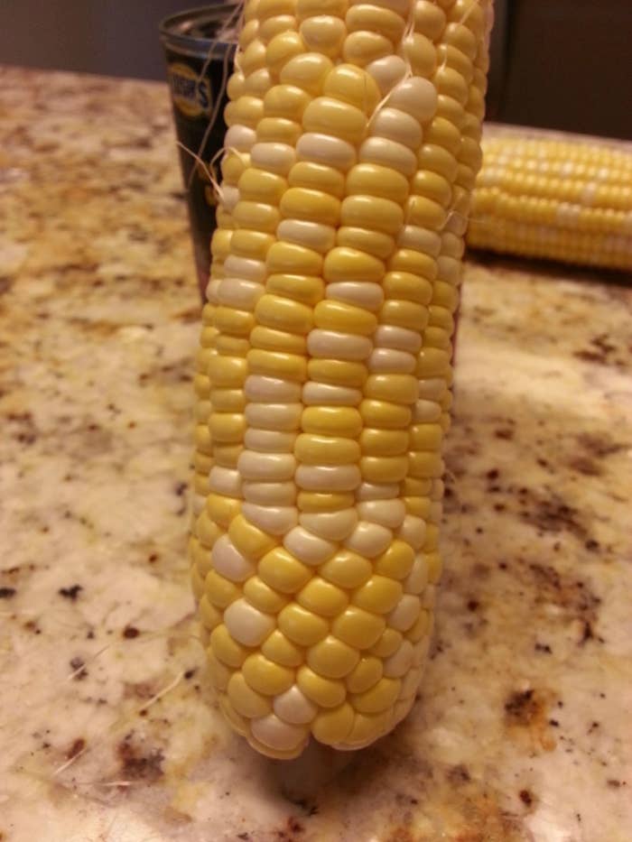 3. This cob of corn that suddenly decided to change pattern. 