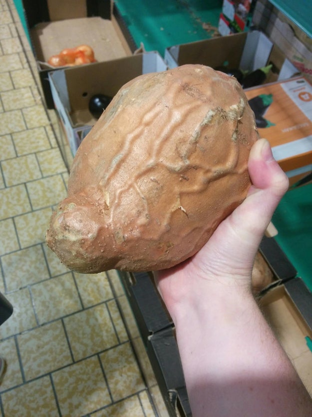 This veiny sweet potato.