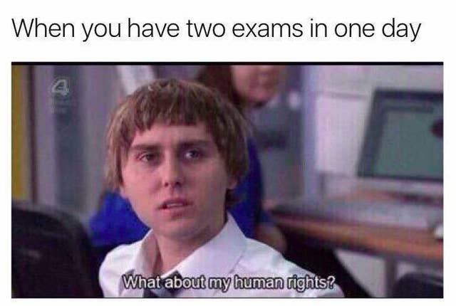 60 Exam Memes That Will Make You Laugh Instead Of Cry