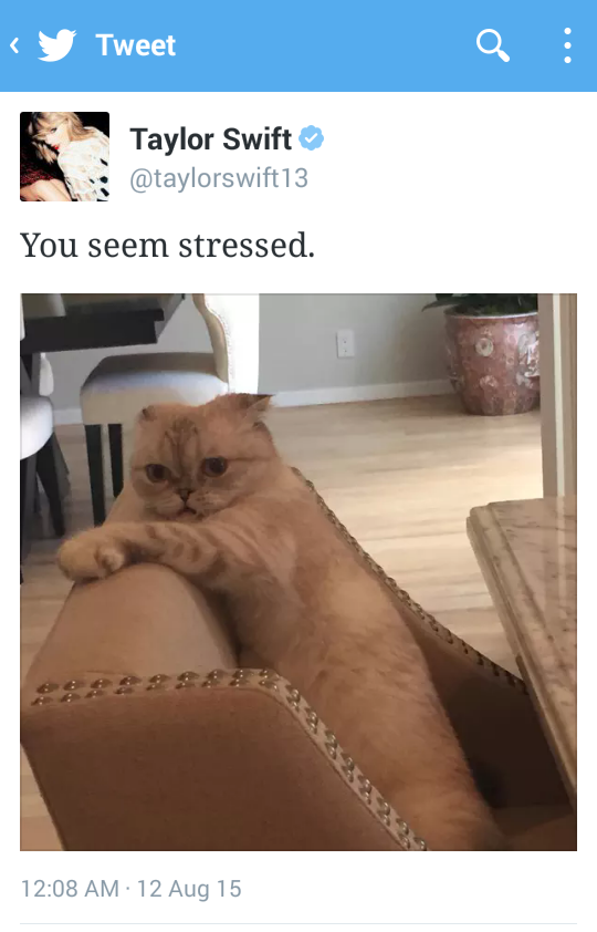 taylor tweeting a picture of her cat looking awkward on a couch with the caption you seemed stressed