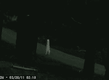 Https Encrypted Tbn0 Gstatic Com Images Q Tbn And9gcrgp5p3idtcqtk27ra Kaguzegb 8 Sohuzna Usqp Cau