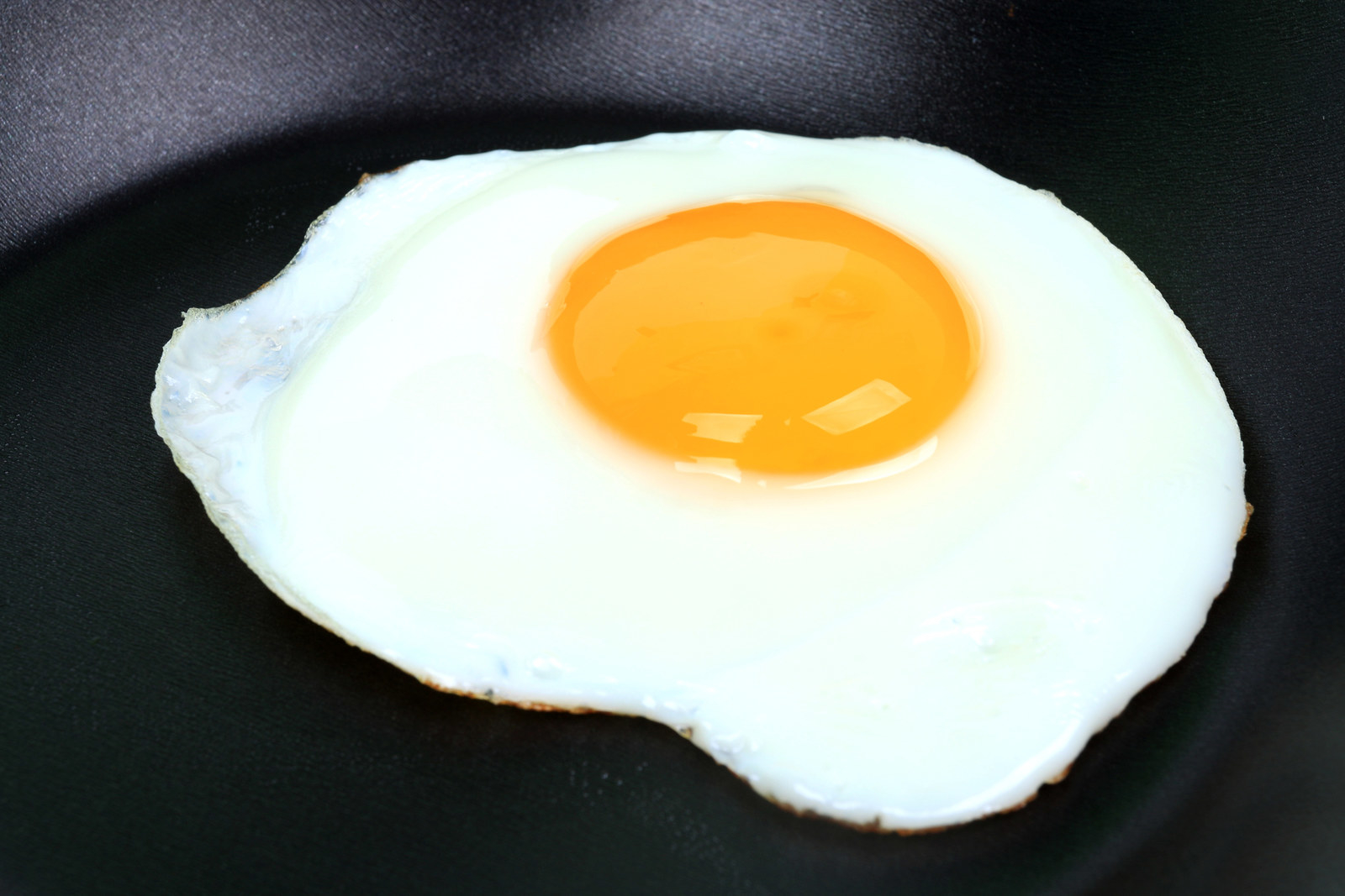 яйцо омлет фото
