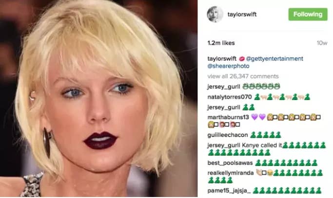 Taylor Swift Is Seemingly Reclaiming The Snake, But Will It Work?
