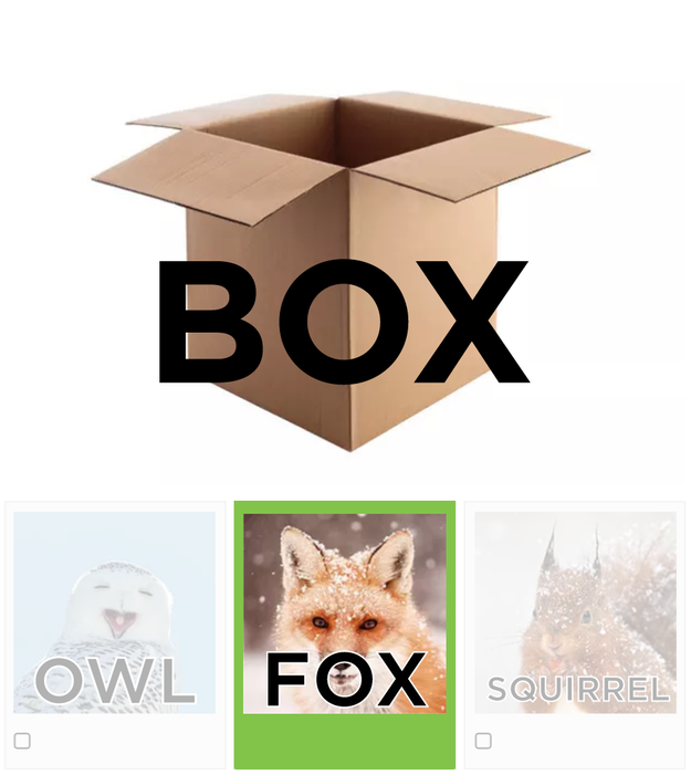 For each question below, you must choose the animal that is one letter off from what's in the photo. Example: BOX -&gt; FOX.