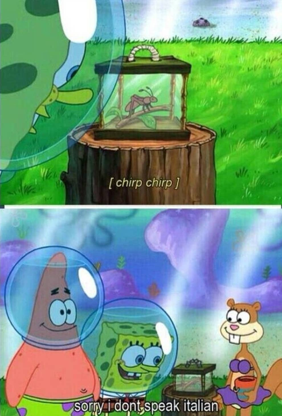 27 Of The Funniest Spongebob Squarepants Lines Ever