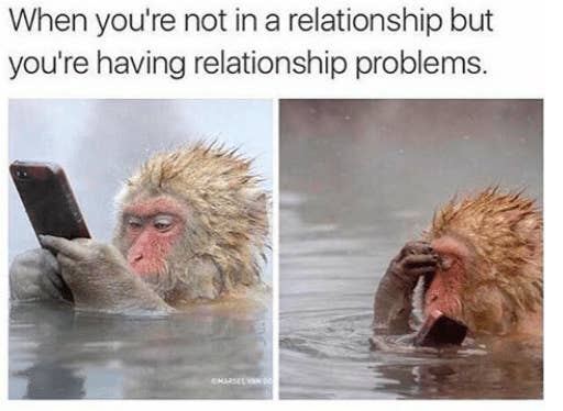 17 Memes You Ll Understand If You Re Having Relationship Problems But You Re Not In A Relationship