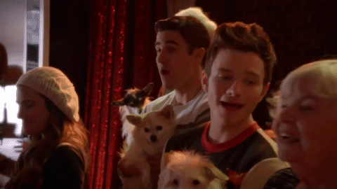 I've watched this episode, and I still don't fully understand why the Glee kids are performing this song while holding dogs and surrounded by old people (including the incomparable June Squibb), but I'm not mad about it. The show had clearly jumped the shark at this point, but at least they had puppies!
