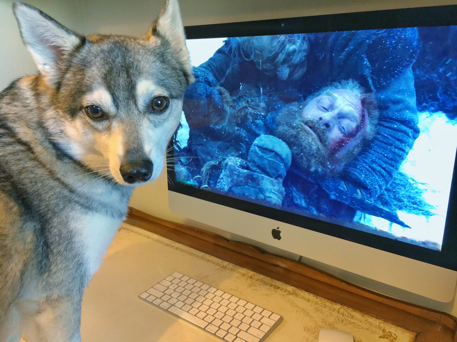 he needs to have babies with Brienne!