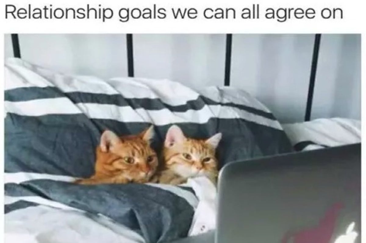 15 Memes That Will Completely Melt Your Heart If You Re With The Love Of Your Life 15 Memes That Will Completely Melt Your Heart If You Re With The Love Of Your Life