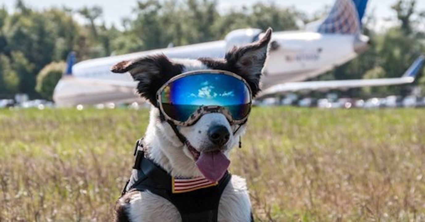 空港で働く ある職員 が最高にかわいくてかっこよくて惚れる