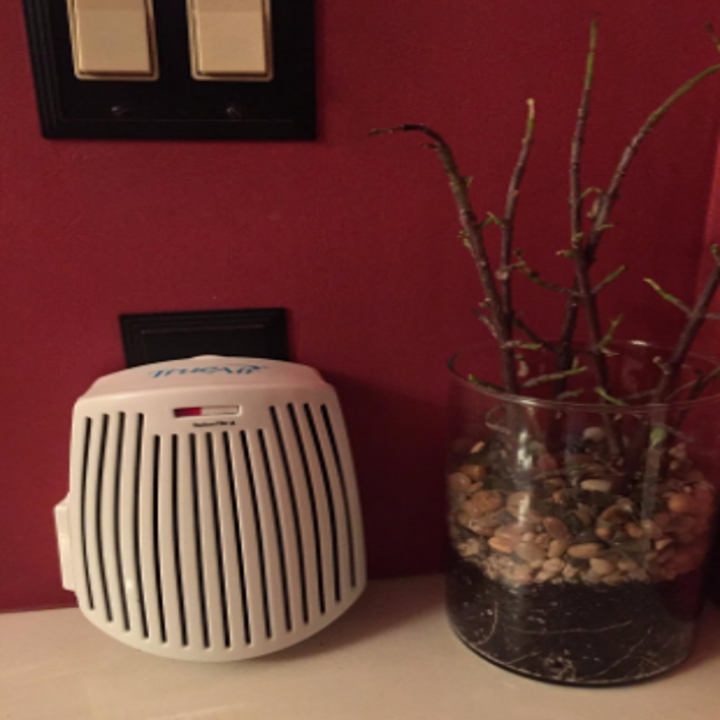 32 Ways To Banish Bad Odors From Your Life Forever