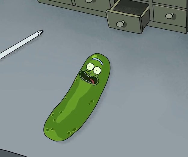Inspired by PICKLE RICK!