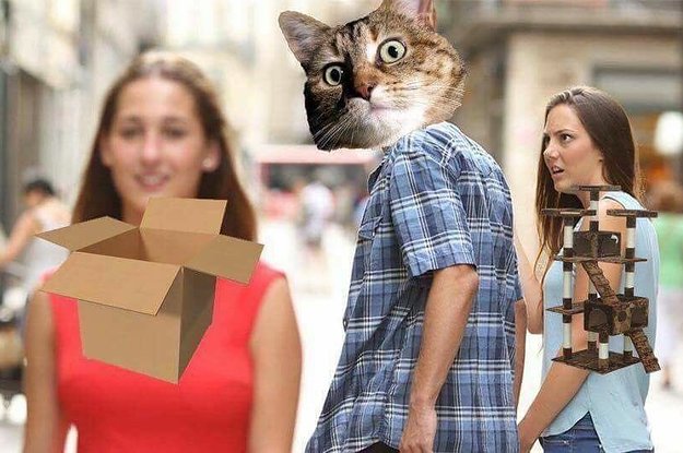 21 “Distracted Boyfriend” Memes That’ll Make You Die Laughing