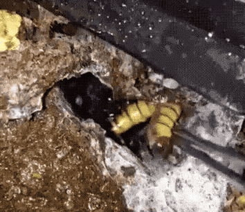 Https Encrypted Tbn0 Gstatic Com Images Q Tbn 3aand9gcszzj1xrq 0ywnxbtl5 Qoxiyexoi49fpmbwq Usqp Cau