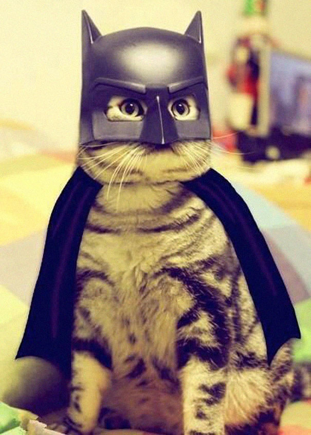 For when Milo wants to live the bat life