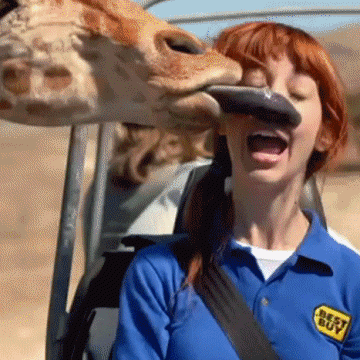 23 Incredible Animal Facts That Ll Make Your Dumb Human Mouth Drop 23 Incredible Animal Facts That Ll Make Your Dumb Human Mouth Drop