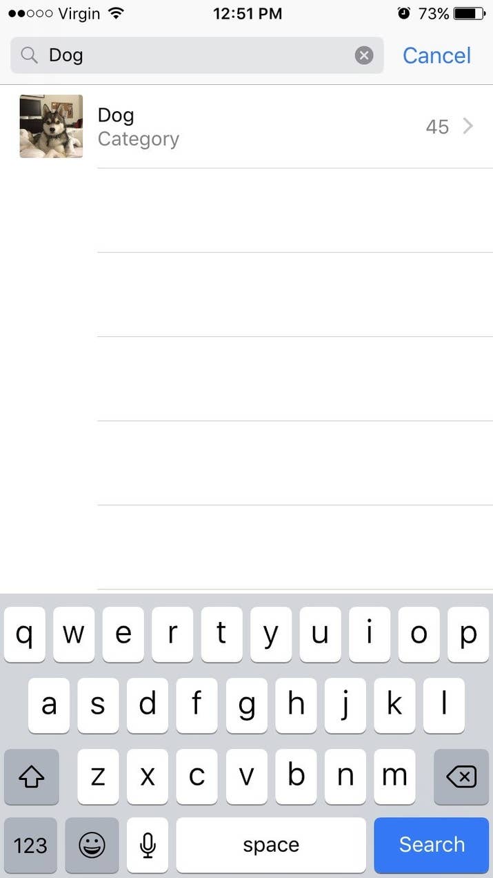 The Photos app has a search icon at the top that lets you search through your photos based on who — or what — is in them. Try it; it's like magic.