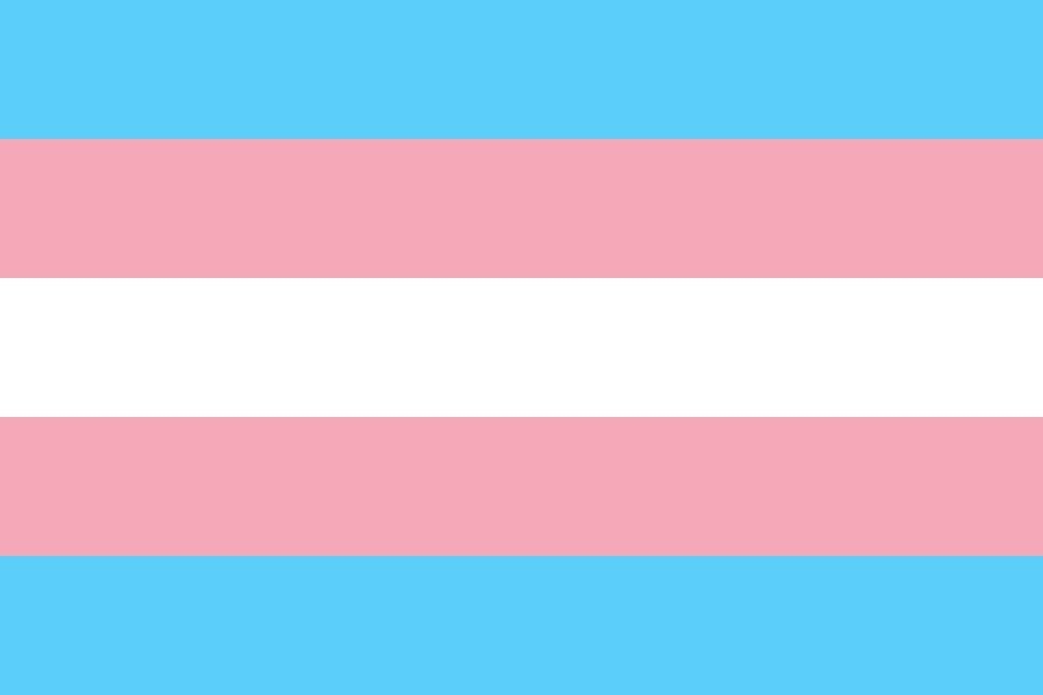 Well aren't you a sight for sore eyes! A household favorite, the transgender flag perfectly uses a simple balence of pastels that please the folks it represents. You try and find a trans person who doesn't love this flag!