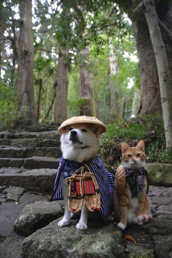 Our story takes place on a hillside in Nagasaki at the turn of the twentieth century...