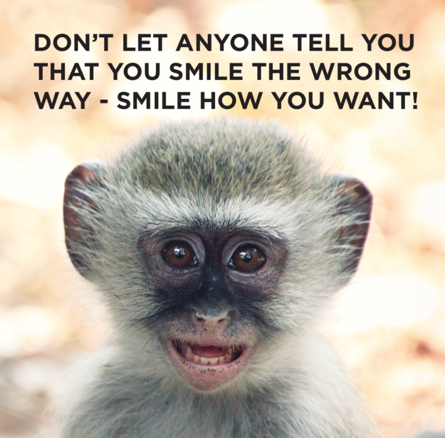 Choose A Smiling Animal To Get A Deep Animal Thought