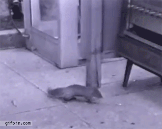 anigif_sub-buzz-19829-1505184122-1.gif?d
