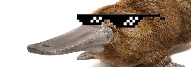 11 Reasons Platypuses Are Cool As Hell