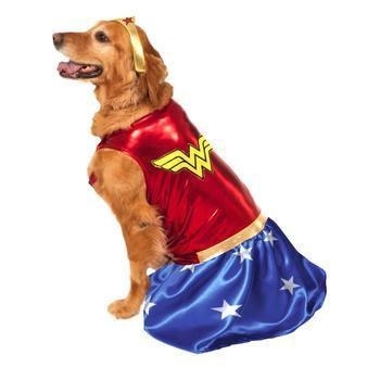 Company owner and founder, Sasha Fichera fully endorses the idea: “We absolutely love the fun and mayhem of Halloween and can’t wait for our customers to see the amazing range of costumes and styles we have on offer for their dog. We also want to make sure that people buy the right products for their dogs, costumes that fit well and don’t restrict movement. Dog costumes that the pet won’t chew off and swallow or become stuck on an obstacle are so important for the health and safety of the dog. Halloween can be so much fun for the outgoing pet, but it can also be too noisy and too much stimulation for pets, so we need to make sure that everyone in our Furbabeez community has access to good information on how to look after their pets during Halloween” Furbabeez has released a helpful guide for looking after your pet during Halloween and made this resource available to all customers on the www.furbabeez.com website.