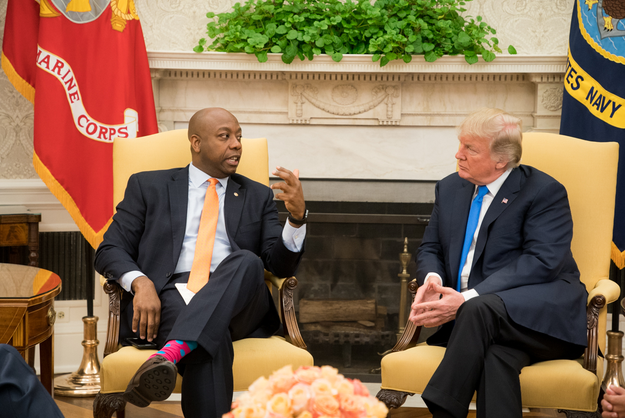 I'll cut to the chase. Former reality TV host and steak salesman Donald Trump held a meeting at the White House today with Senator Tim Scott and I'll give you one guess as to what is going on with his outfit here: