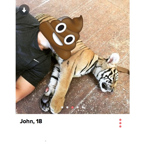 Unless you're Mowgli and that's Shere Khan, why are you posing with sedated animals?
