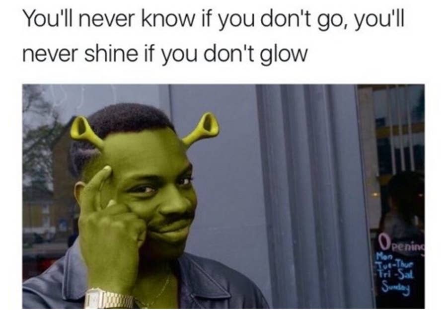 24 Shrek Posts That You Should Let No Innocent Child See