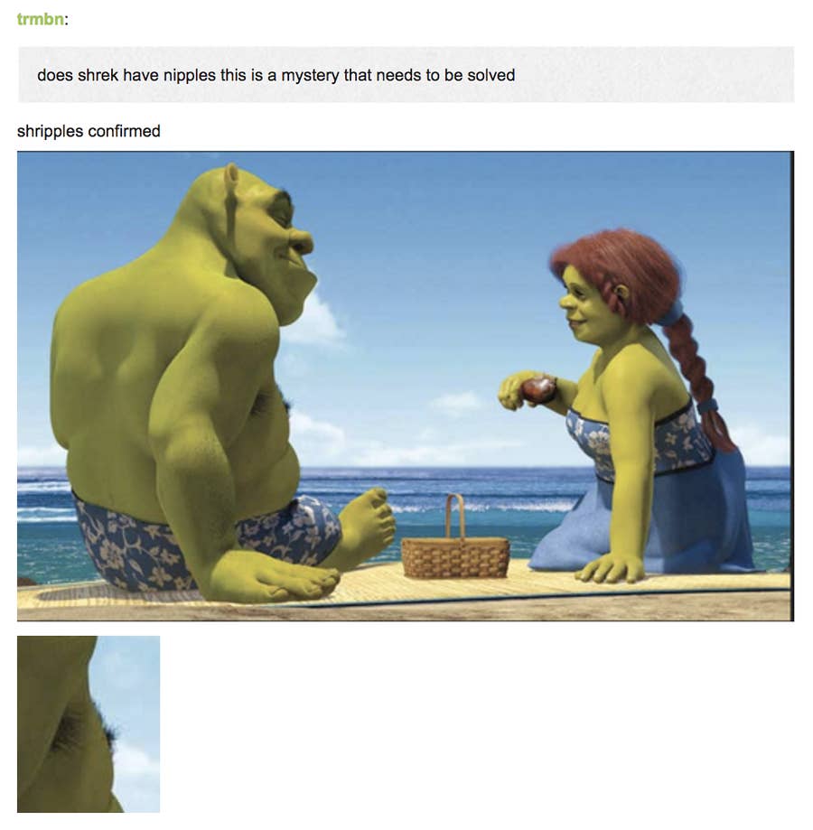 24 Shrek Posts That You Should Let No Innocent Child See It can be downloaded in best resolution and used for design and web design. should let no innocent child see