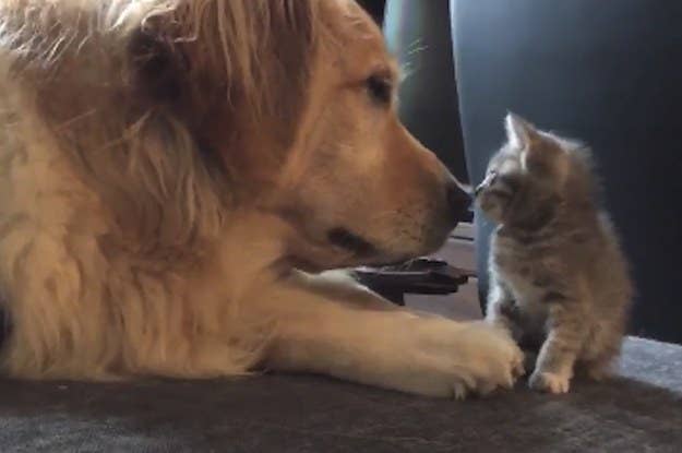 タカトシの 子煩悩インスタ は絶対に見ちゃだめ 絶対だよ