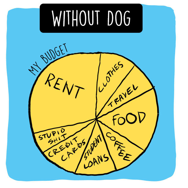 18 Ways Having A Dog Will Change Your Life