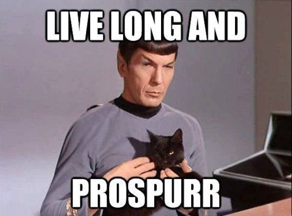 25 Star Trek Memes Die Niemand Kapiert Der Kein Trekkie Ist