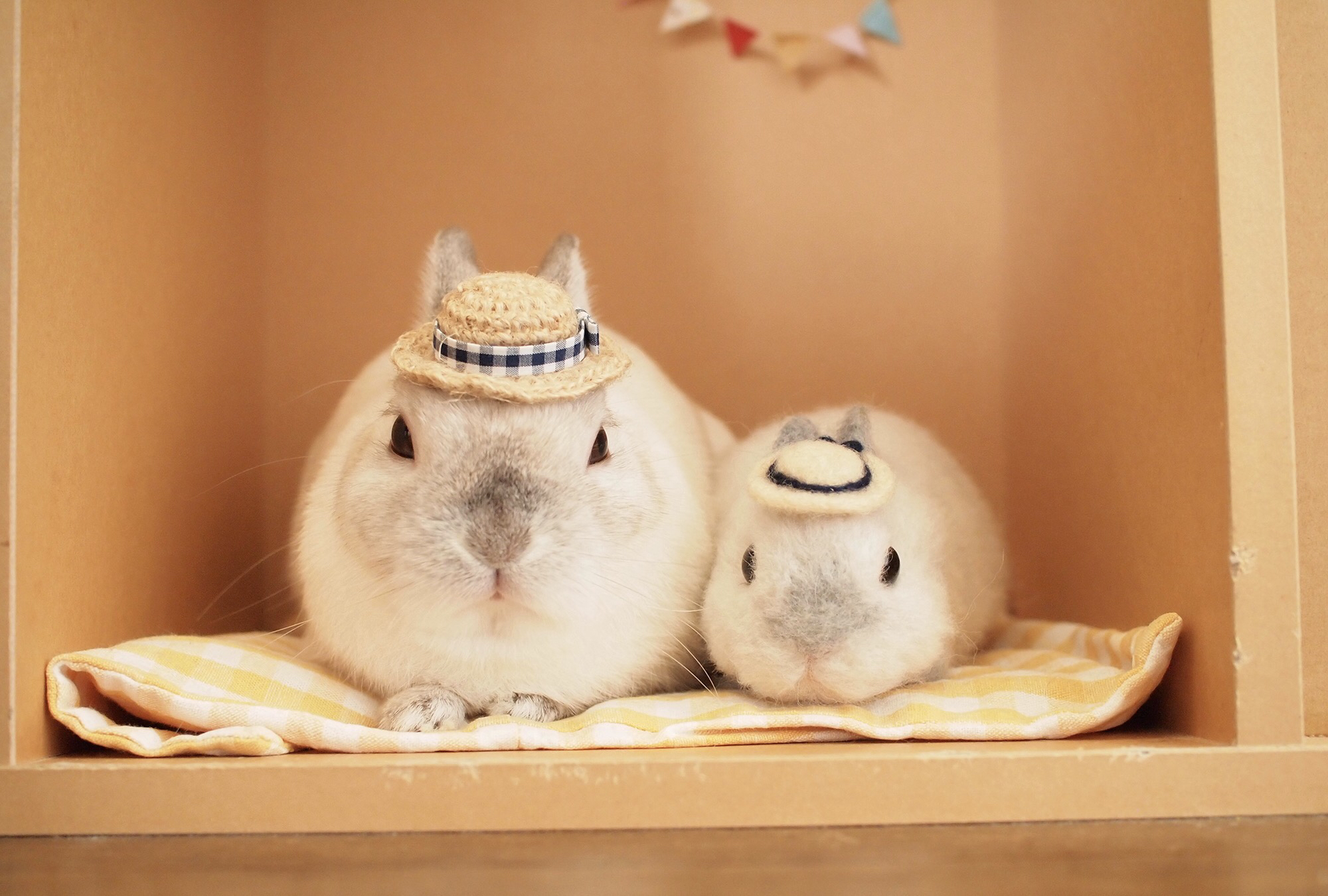 original-12065-1505873385-3.