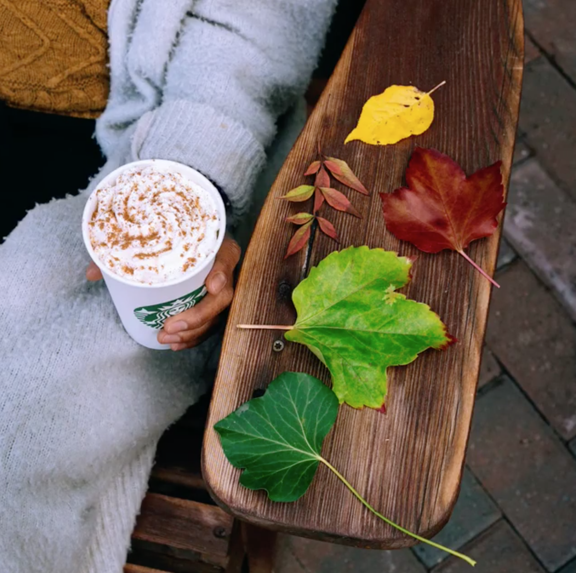 model holding starbucks hot drink with whipped cream in their hand