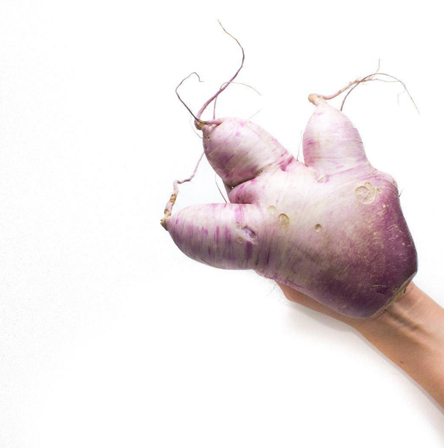 Unfortunately, you are not alone in this. About 20% of all US-grown produce goes to waste before it even makes it to the grocery store because it is deemed "ugly" and doesn't fit a cosmetic standard.