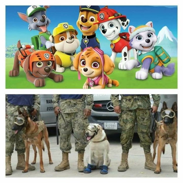 Basically, Frida is Paw Patrol IRL.