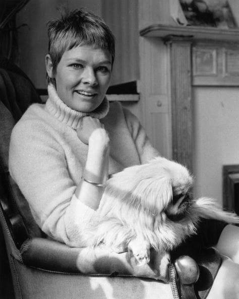 Judi pictures young dench The Best