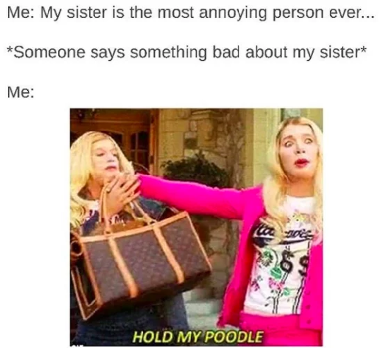 Featured image of post Best Sister Ever Memes / 209 quotes about sisterly bonds.
