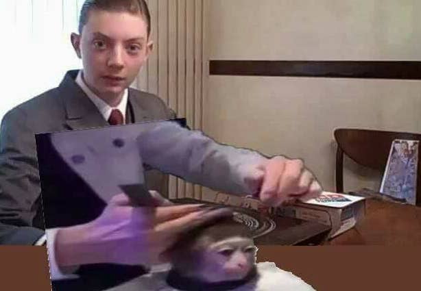 Here S How This Monkey Getting A Haircut Became A Huge Meme