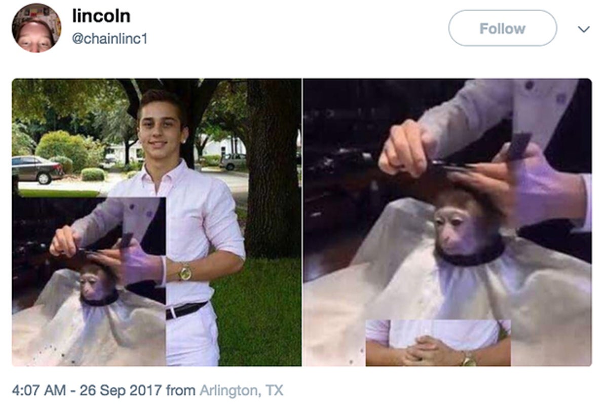 Monkey Haircut Meme Can Be Photoshopped Into Anything