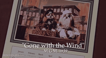 Https Encrypted Tbn0 Gstatic Com Images Q Tbn And9gcti8hzmnnyqteyucw8bvufaxvjlvvj9sajp7w Usqp Cau